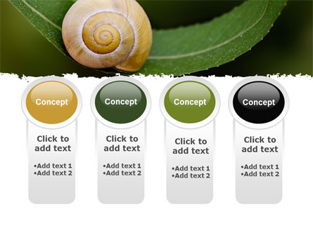 Snail Shell Presentation Template for PowerPoint and Keynote | PPT Star