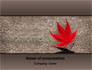 Red Leaf slide 1