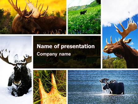Moose Presentation Template, Master Slide