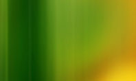 Green and Yellow Theme Presentation Template