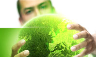 Green World in Human Hands Presentation Template