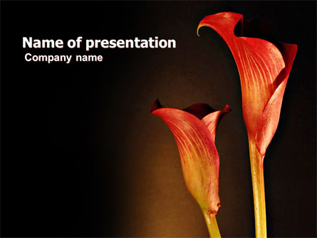Red Calla Presentation Template, Master Slide