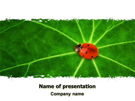 Bug on Leaf Presentation Template, Master Slide