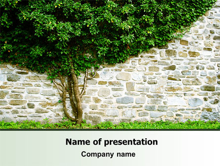Tree On The Wall Presentation Template, Master Slide