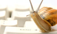 Sluggish Snail Presentation Template