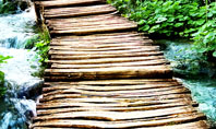 Wooden Path Presentation Template