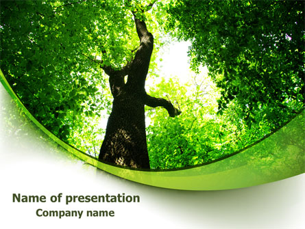 High Tree Presentation Template, Master Slide