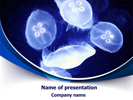 Jellyfish Presentation Template, Master Slide