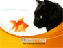 Fish and Cat slide 20