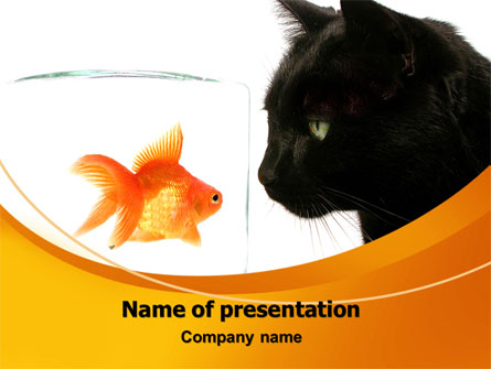 Fish and Cat Presentation Template, Master Slide