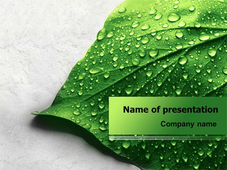 Wet Leaf Presentation Template, Master Slide