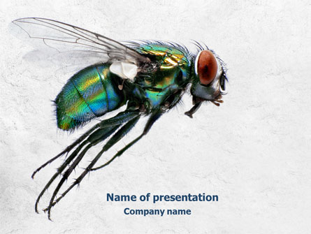 Fly Presentation Template, Master Slide