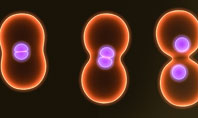 Cell Amitosis Presentation Template