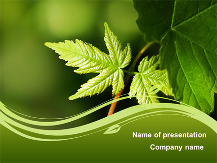 Forest Leaf Presentation Template, Master Slide