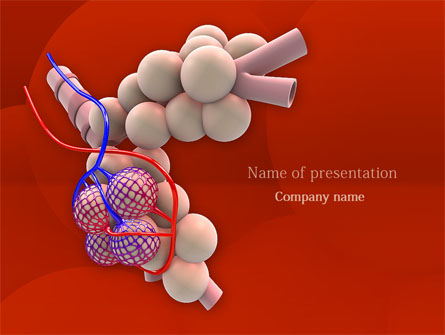 Alveoli Presentation Template, Master Slide