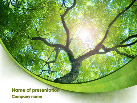 Tree Top Presentation Template, Master Slide