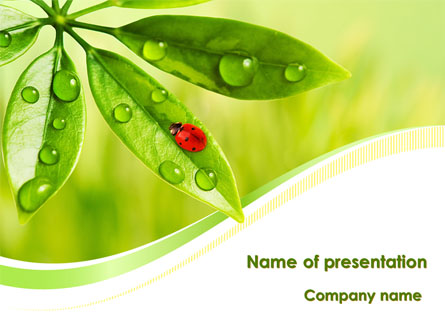 Ladybird on Leaf Presentation Template, Master Slide