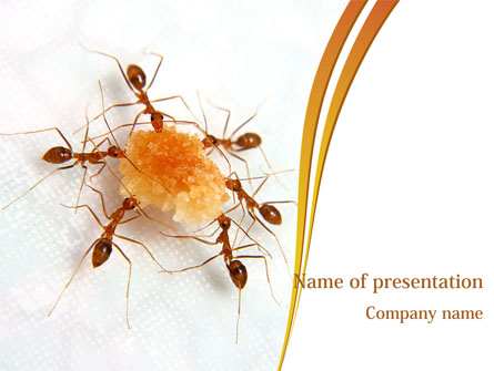 Ants Team Work Presentation Template, Master Slide