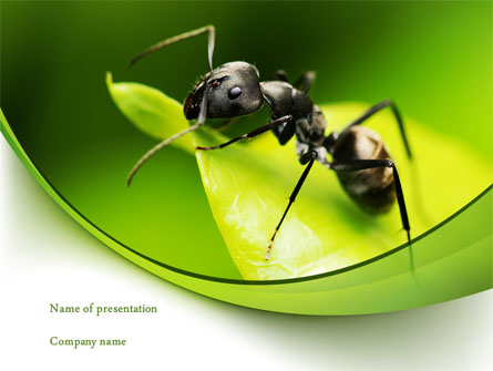 Ant Presentation Template, Master Slide
