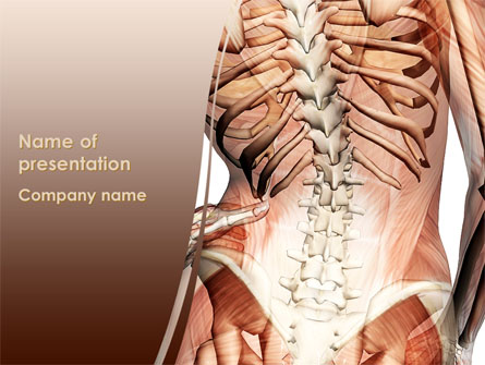 Vertebrae Presentation Template, Master Slide