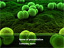 Meningococcus slide 1