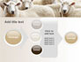 Sheep Flock slide 17