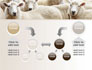 Sheep Flock slide 19