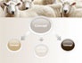 Sheep Flock slide 4