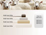 Sheep Flock slide 8
