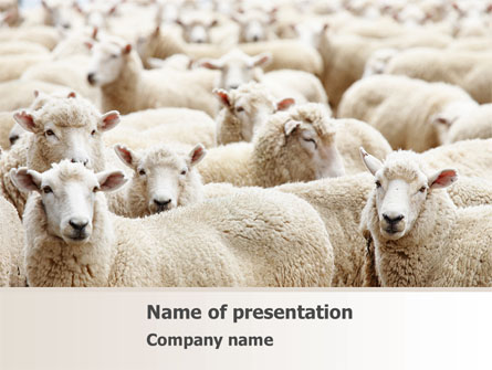 Sheep Flock Presentation Template, Master Slide