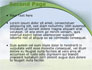 Green Globe slide 2