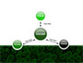 Chlorophylls Free slide 14