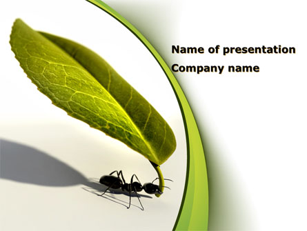 Spring Ant Presentation Template, Master Slide
