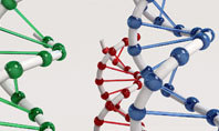 Plastic DNA Model Presentation Template