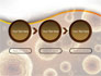 Cell Meiosis slide 5