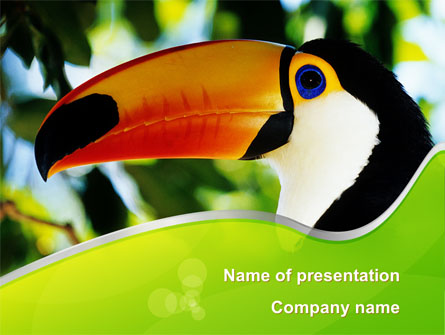 Southern Mexico Toucan Presentation Template, Master Slide