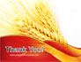 Wheat Harvest slide 20