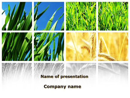 Wheats Presentation Template, Master Slide