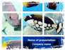 Tropical Fish Collage slide 1