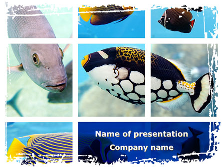 Tropical Fish Collage Presentation Template, Master Slide