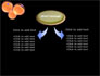 Cell Fission slide 4