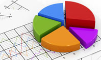 Pie Diagram Presentation Template