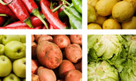 Vegetables Collage Presentation Template