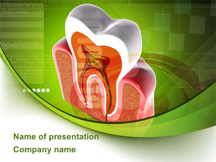 Tooth In Section Presentation Template, Master Slide