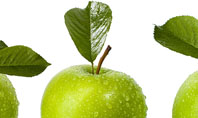 Green Apples Presentation Template