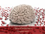 Human Brain Medicine slide 1