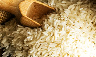 Grains Of Rice Presentation Template