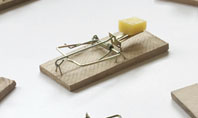 Mouse Traps With Cheese Presentation Template