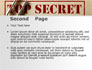Top Secret Documents slide 2