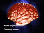 Human Brain in Three Dimensions slide 1